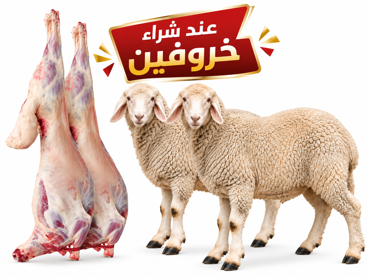 خروفين كشميرية
