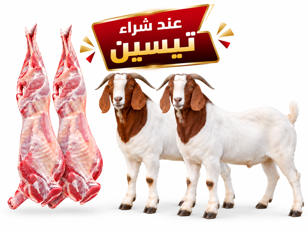 تيسين كينية
