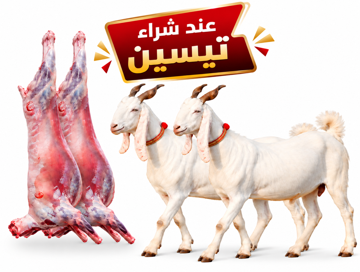 تيسين كشميرية